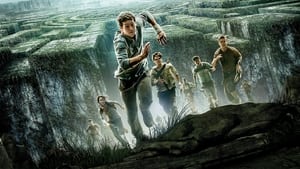 The Maze Runner 2014