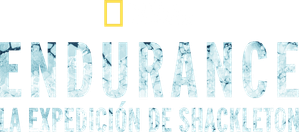 Endurance — Logos 6