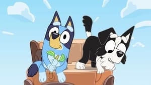 Bluey: 2×25