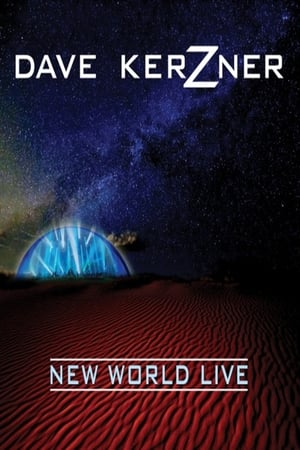 Dave Kerzner - New World Live