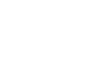 Shimmer e Shine — Logos 4