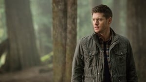 Supernatural 10 x Episodio 19