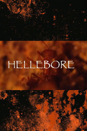 Hellebore (2026)