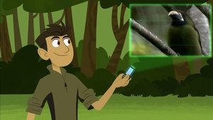 Wild Kratts Falcon City