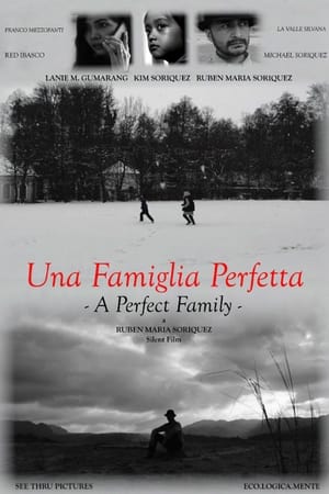 Poster A Perfect Family ()