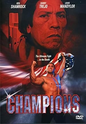 Poster Champions 1998