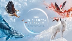 poster A Perfect Planet