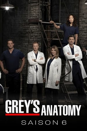 Grey's Anatomy: Saison 6