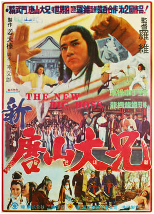 Poster 劍花煙雨江南 1977