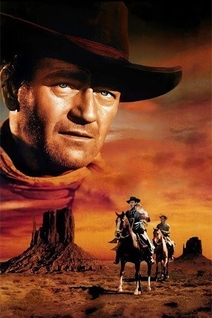 The Searchers 148