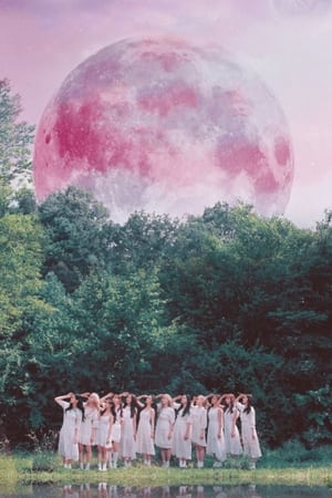 Poster the loonaverse 2024