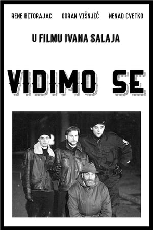 Poster di Vidimo se