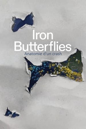 Image Iron Butterflies - Anatomie d'un crash