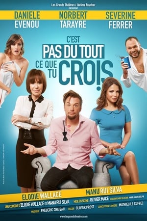 Poster C'est pas du tout ce que tu crois (2019)