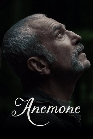 Anemone