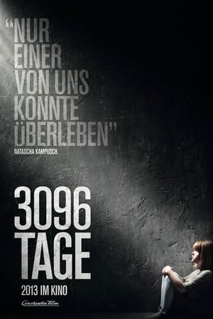 Poster 3096 Tage 2013