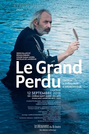 Poster Le Grand Perdu (2018)