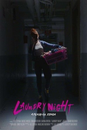 Image Laundry Night