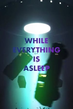 While Everything is Asleep film complet