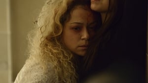 Orphan Black: 2×4