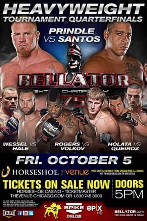 Poster Bellator 75 (2012)