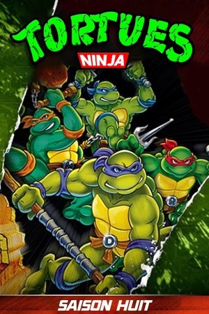 Les Tortues Ninja - Saison 8 - poster n°1