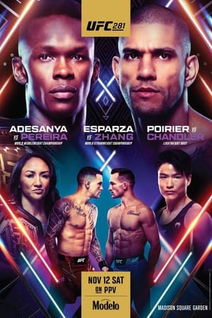 Poster UFC 281: Adesanya vs. Pereira 2022