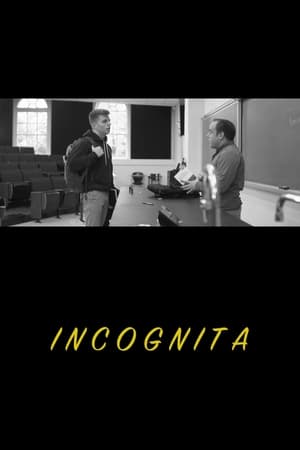 Poster Incognita (2019)