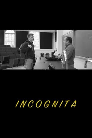 Image Incognita