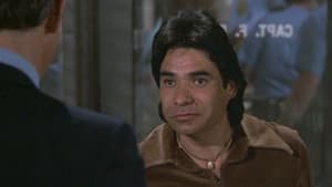 Polizeirevier Hill Street: 4×21