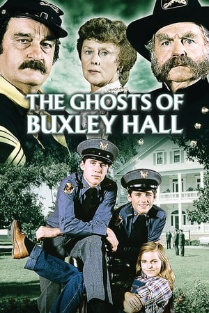 Poster The Ghosts of Buxley Hall (1980)