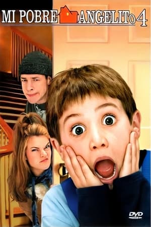 pelicula Solo en casa 4 (2002)