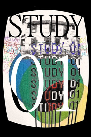 STUDY 01
