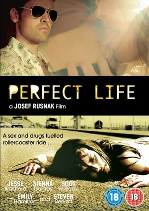 Poster Perfect Life (2010)