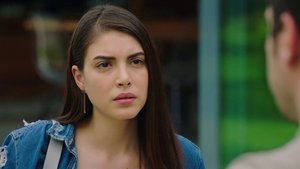 Mrs. Fazilet and Her Daughters: 2×36