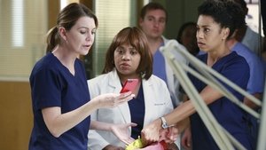 Grey’s Anatomy: Season 11 Episode 10