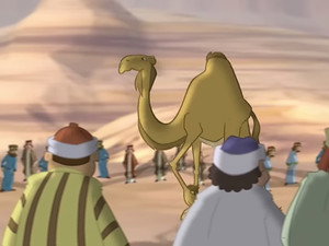Le chameau de Saleh (1)