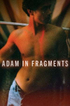 Image Adam in Fragments