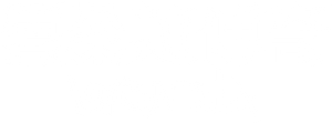 WondLa — Logos 6
