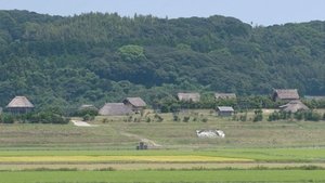 Journeys in Japan: 12×24