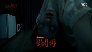 Episode 29