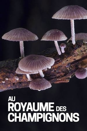 Image Au royaume des champignons