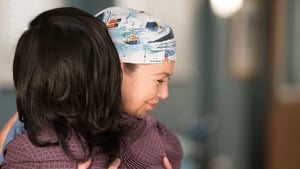 Grey’s Anatomy 14 – Episodio 13