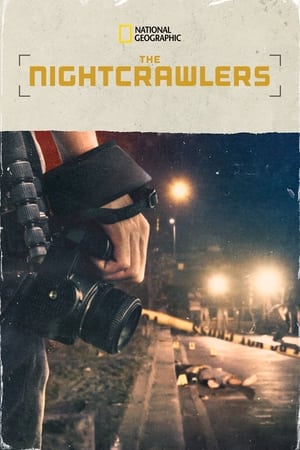 Poster The Nightcrawlers 2019
