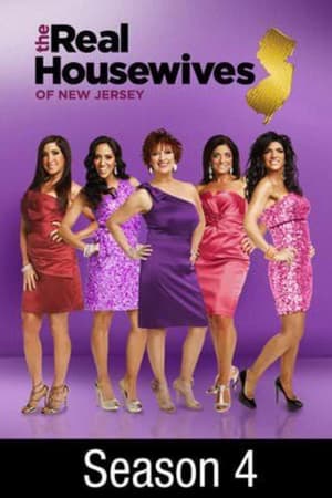 The Real Housewives of New Jersey: Seizoen 4