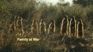 Image A Family at War