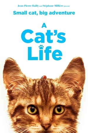 Poster A Cat's Life (2023)