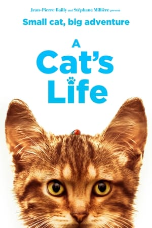 Image A Cat's Life