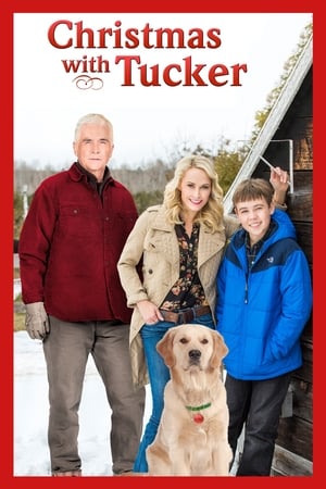 Christmas with Tucker poster