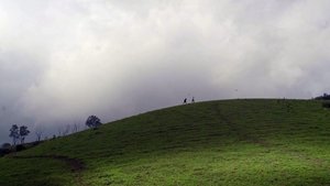 Kadaseela Biriyani